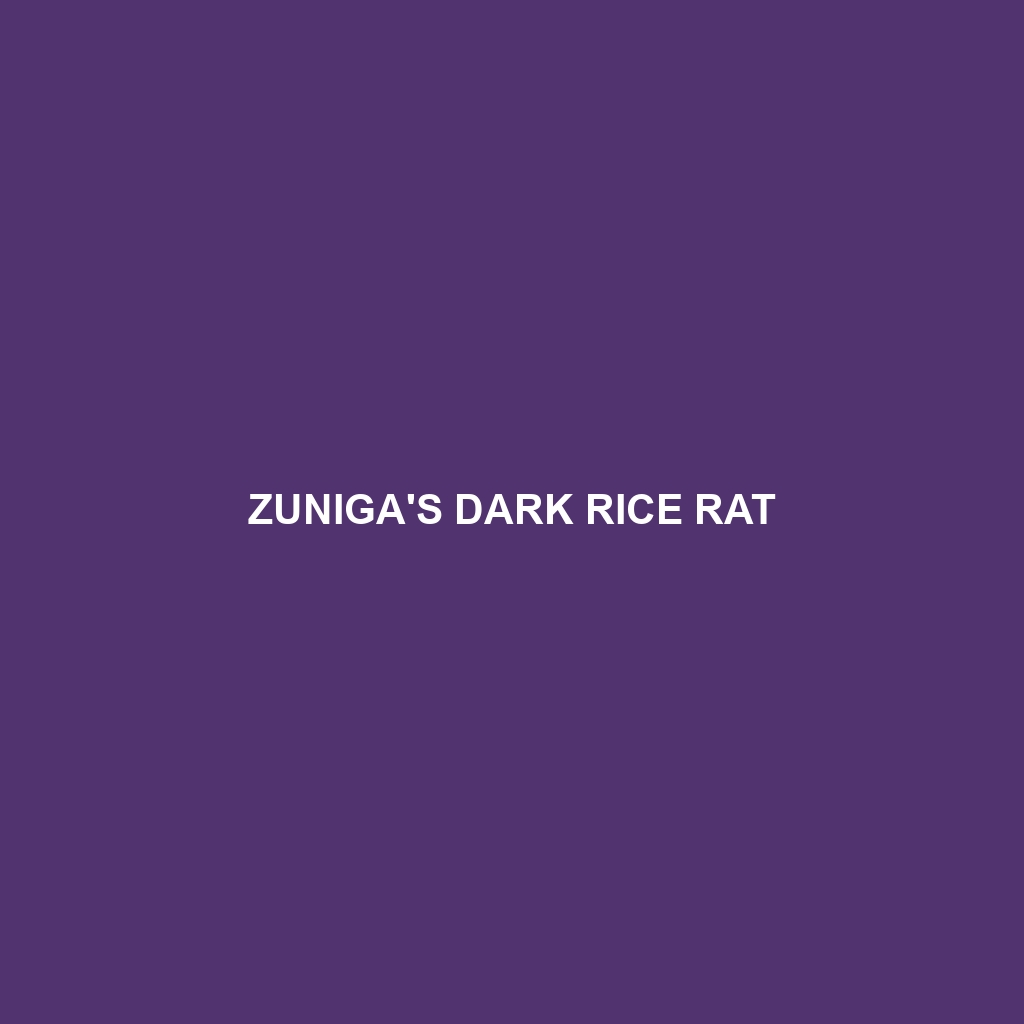 Zuniga's Dark Rice Rat