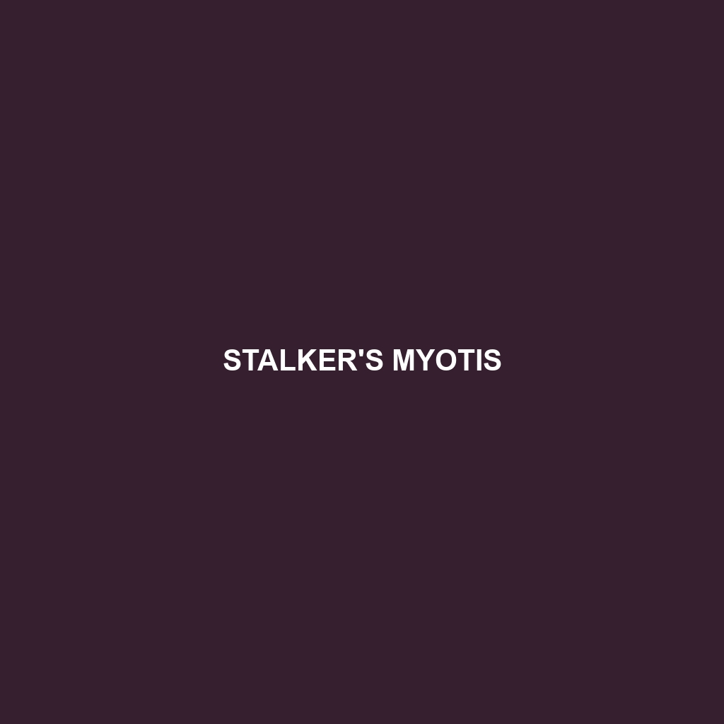 Stalker's Myotis