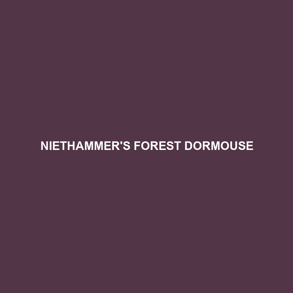 Niethammer's Forest Dormouse