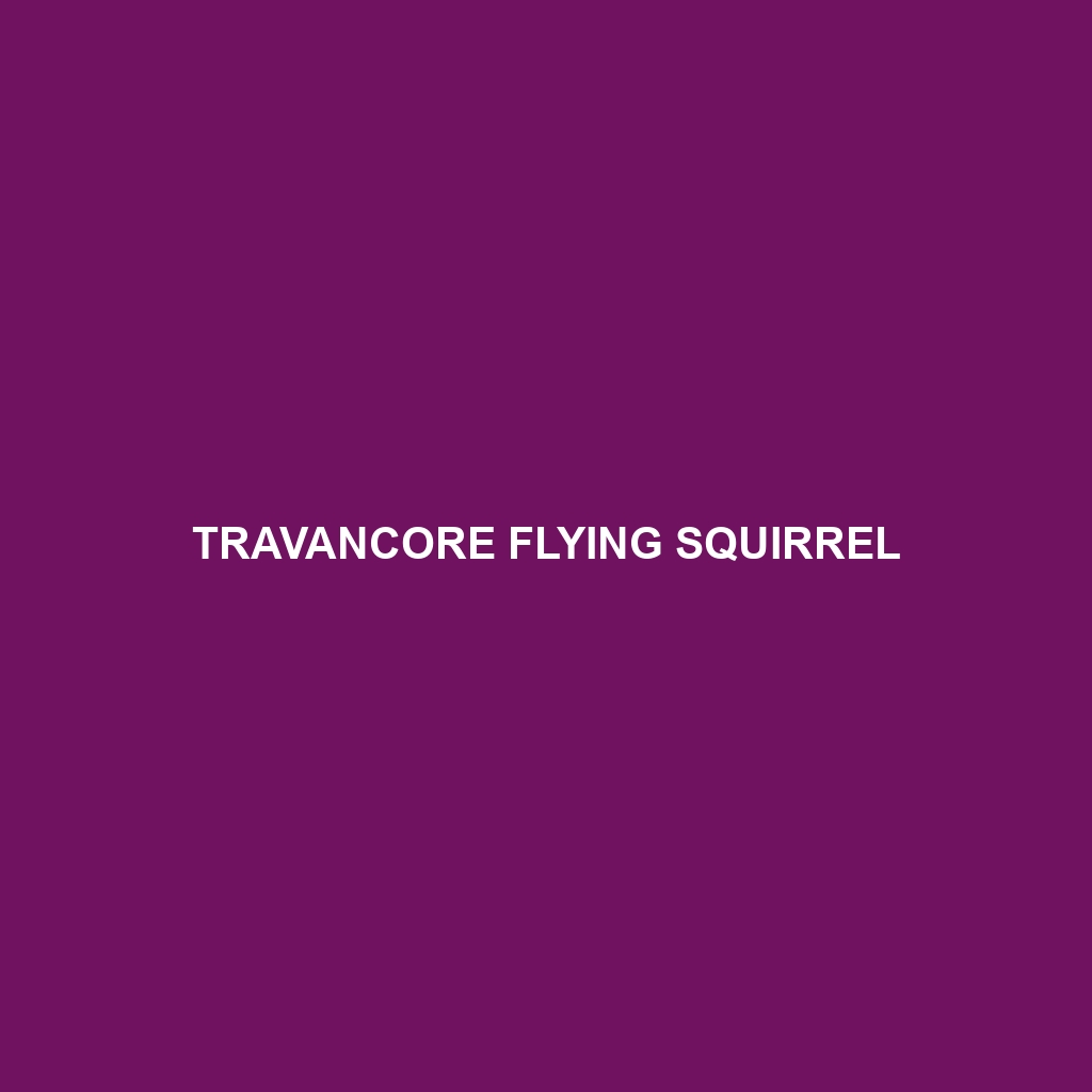 Travancore Flying Squirrel