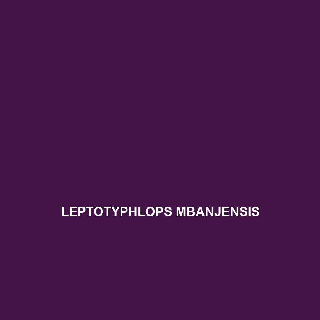 Leptotyphlops mbanjensis