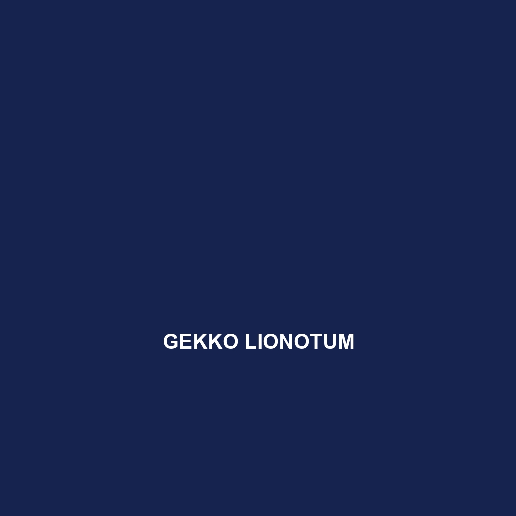 Gekko lionotum