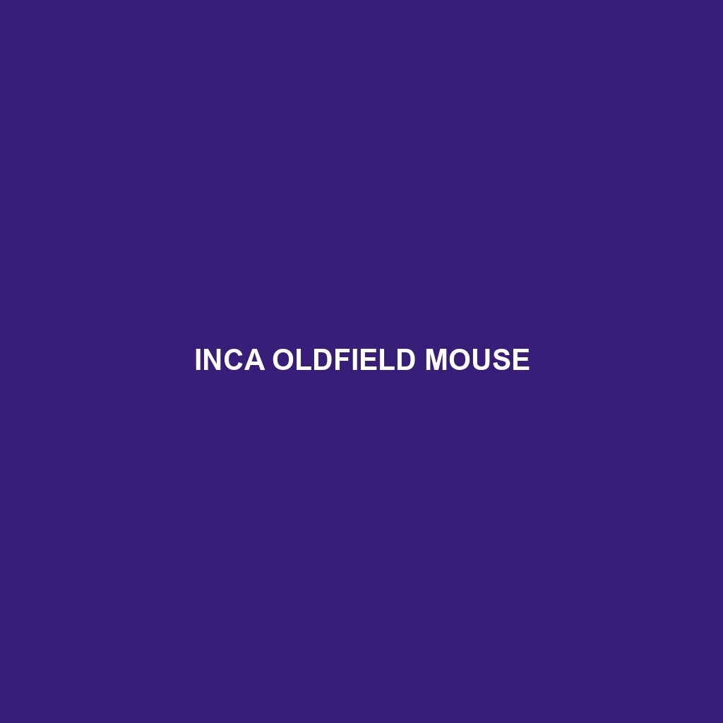 Inca Oldfield Mouse