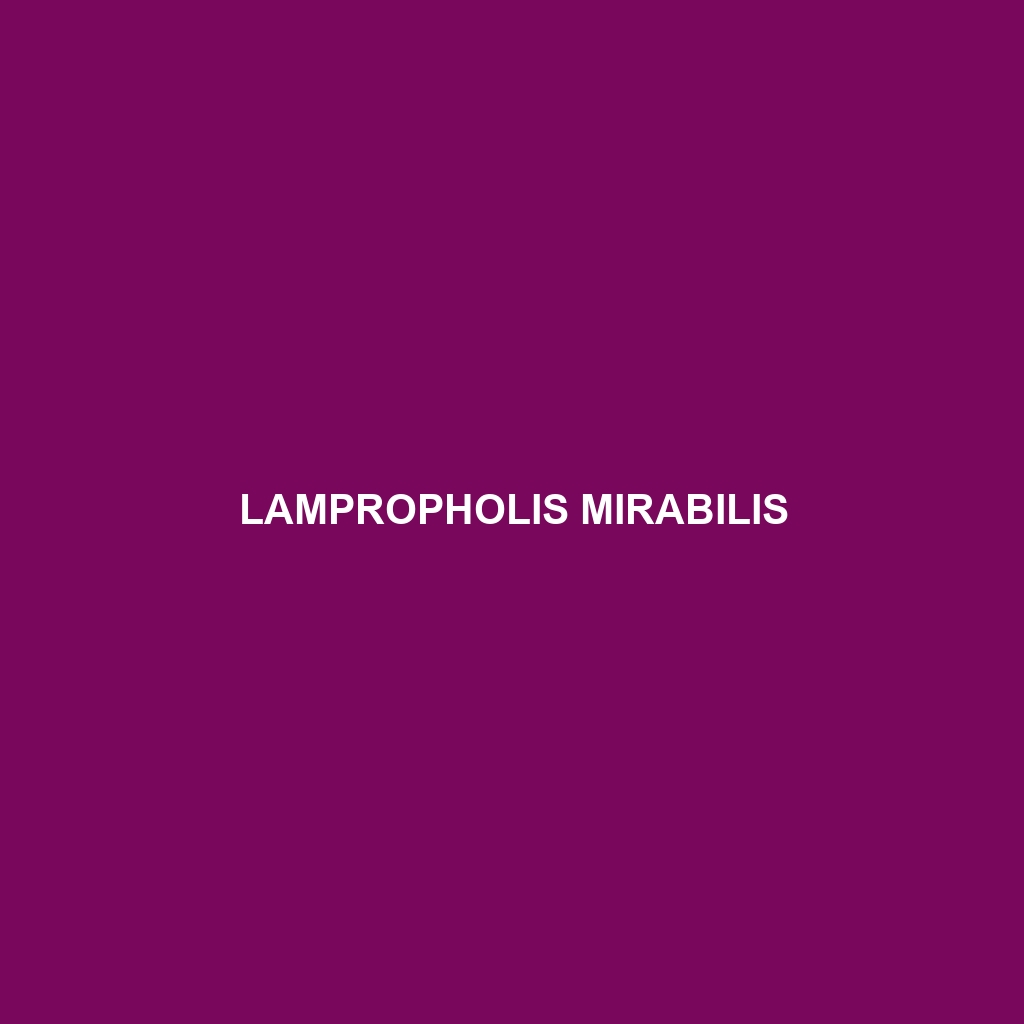 Lampropholis mirabilis