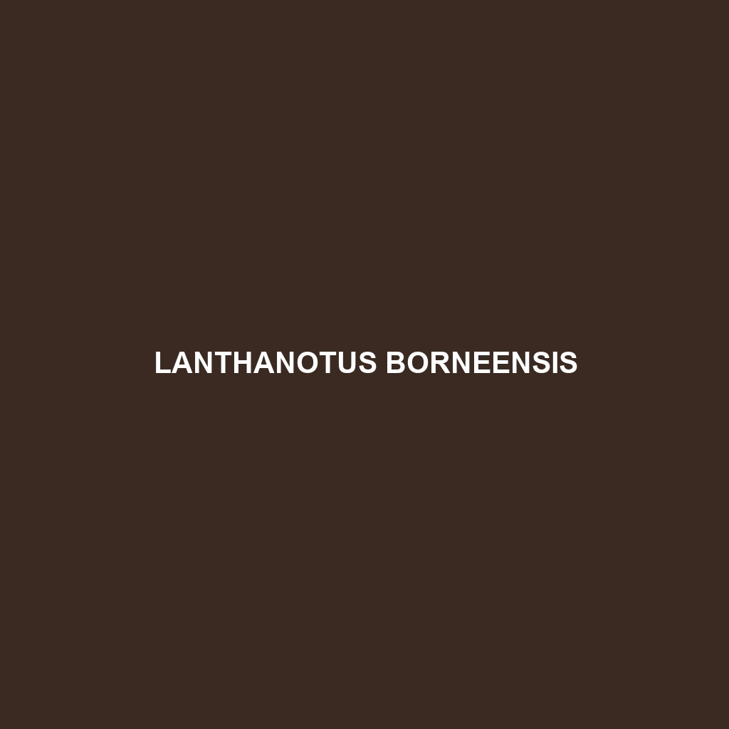 Lanthanotus borneensis