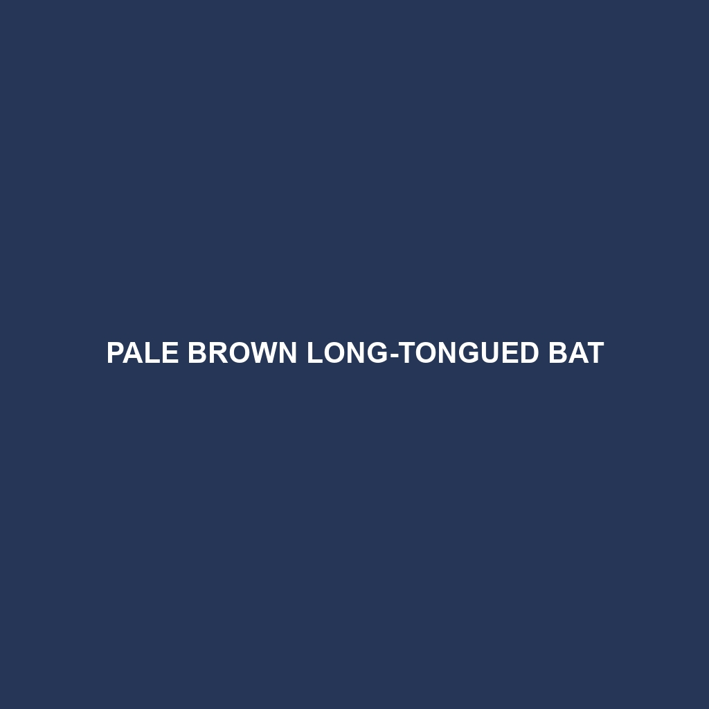 Dark Long-tongued Bat