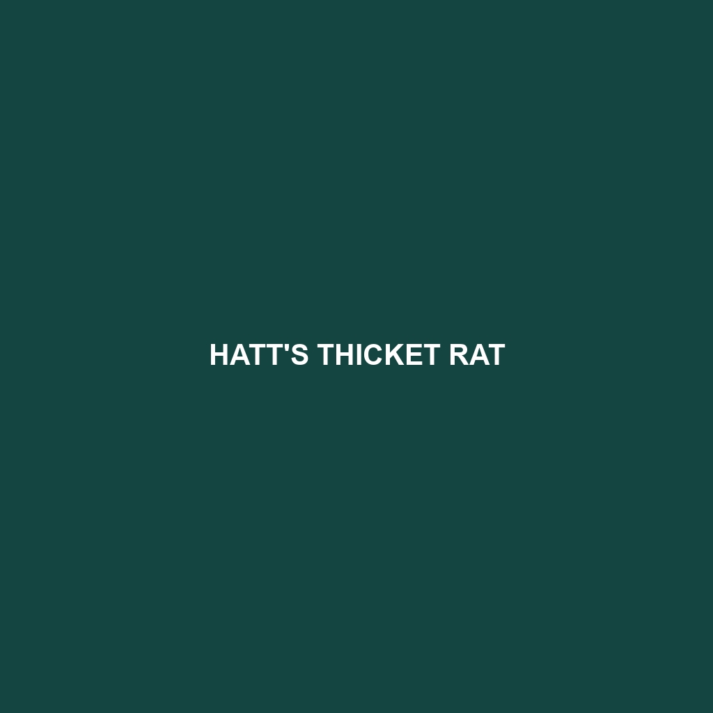 Hatt's Thicket Rat