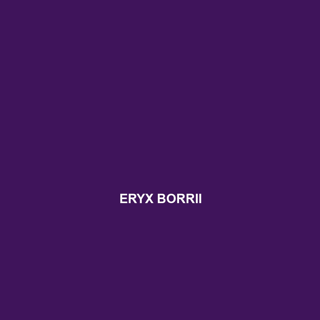 Eryx borrii