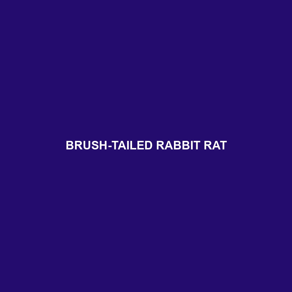 Brush-tailed Rabbit Rat