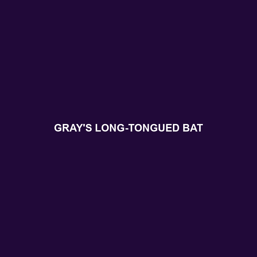 Gray's Long-tongued Bat