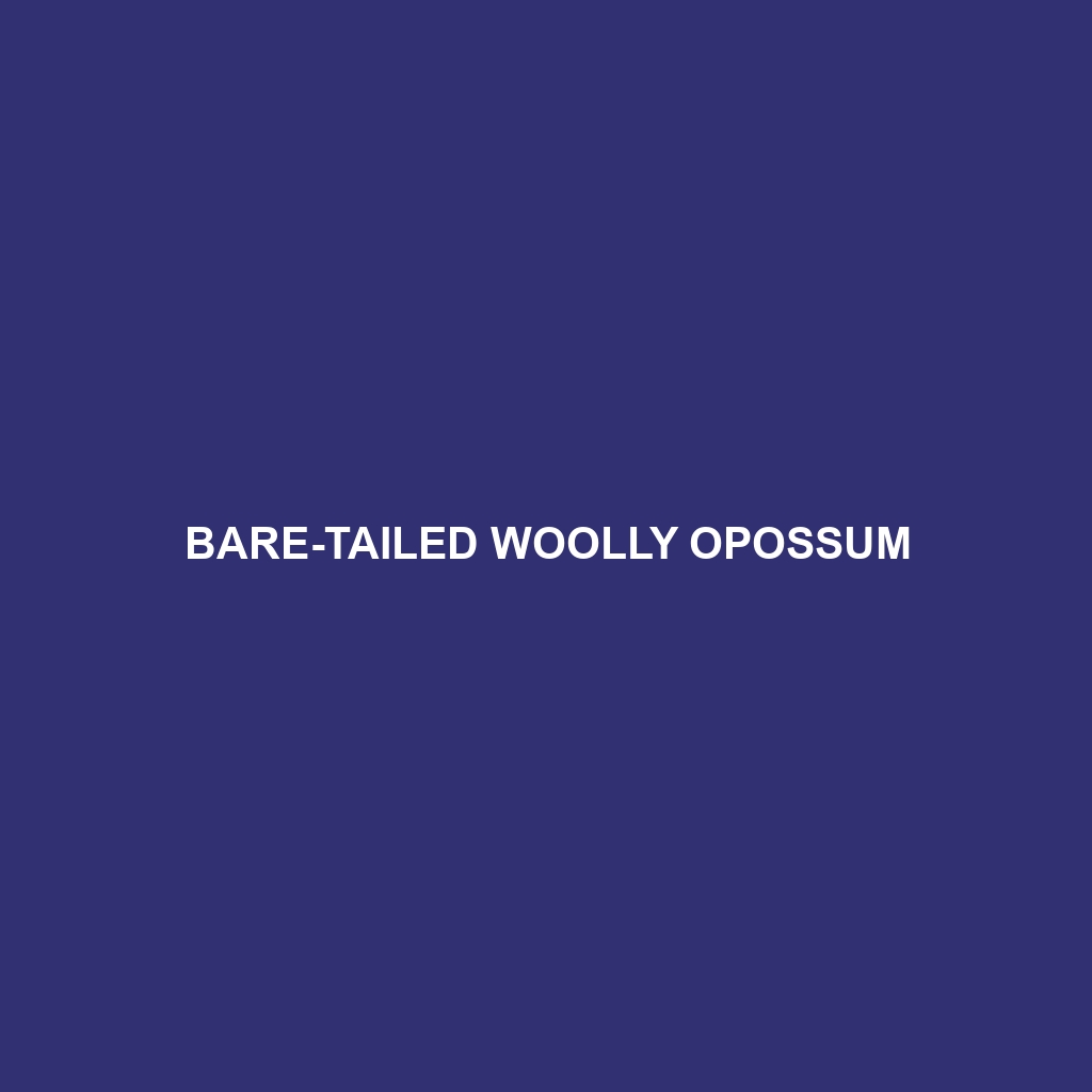 Bare-tailed Woolly Opossum