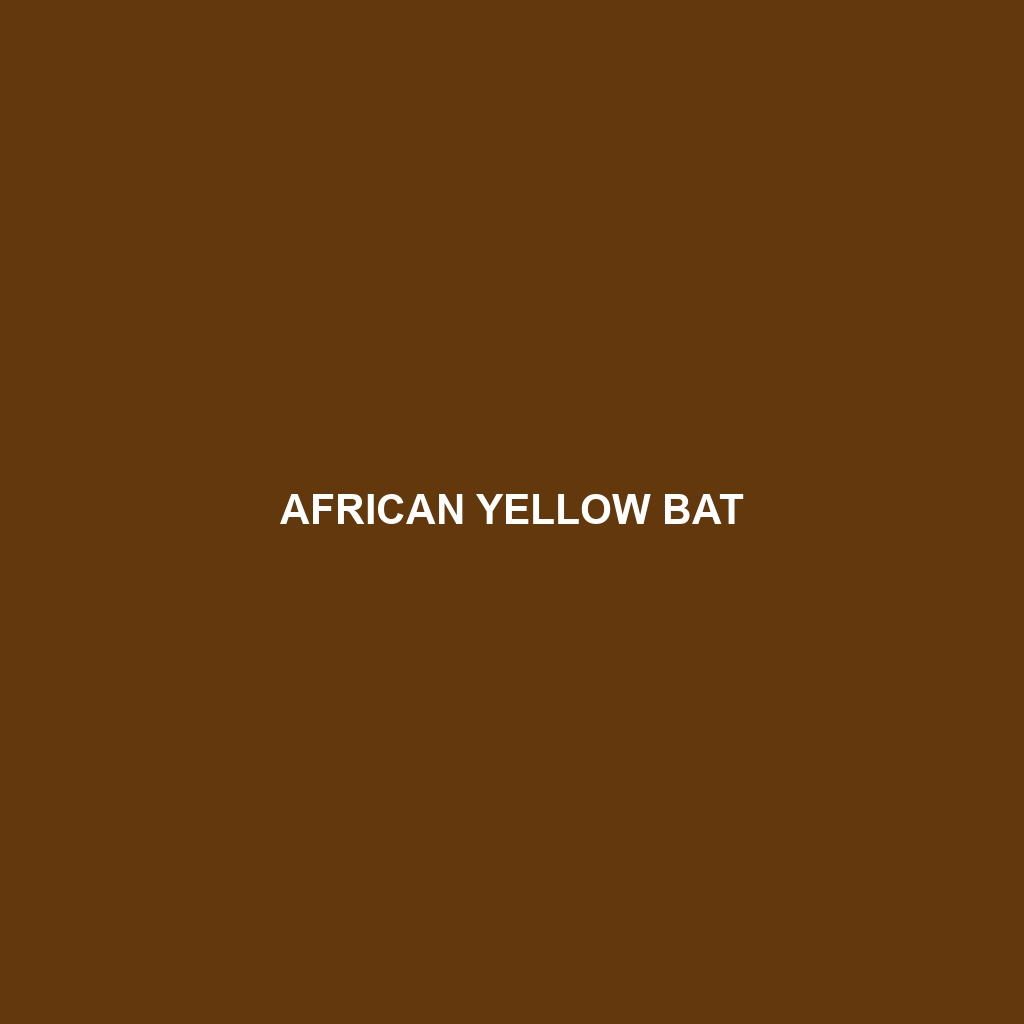 African Yellow Bat