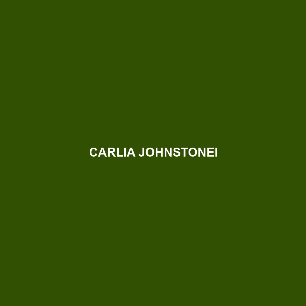 Carlia johnstonei