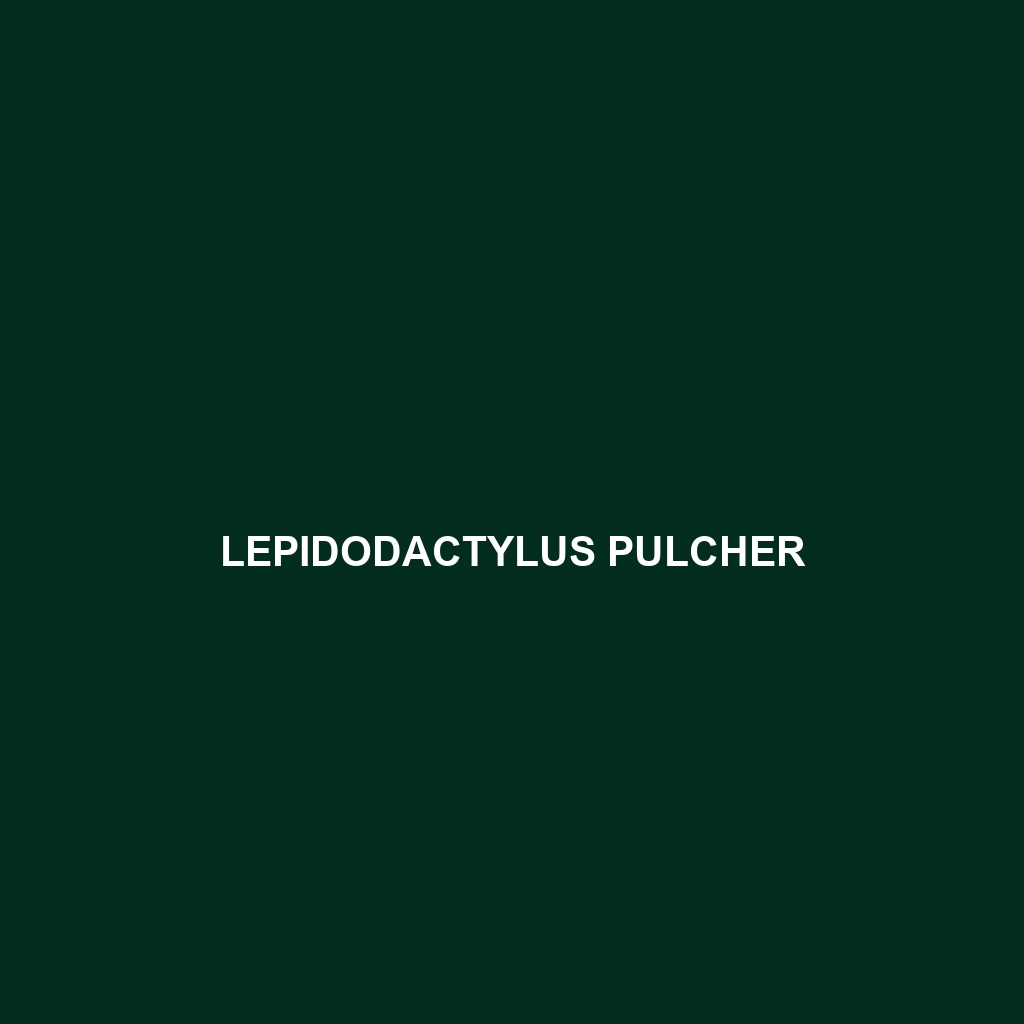 Lepidodactylus pulcher