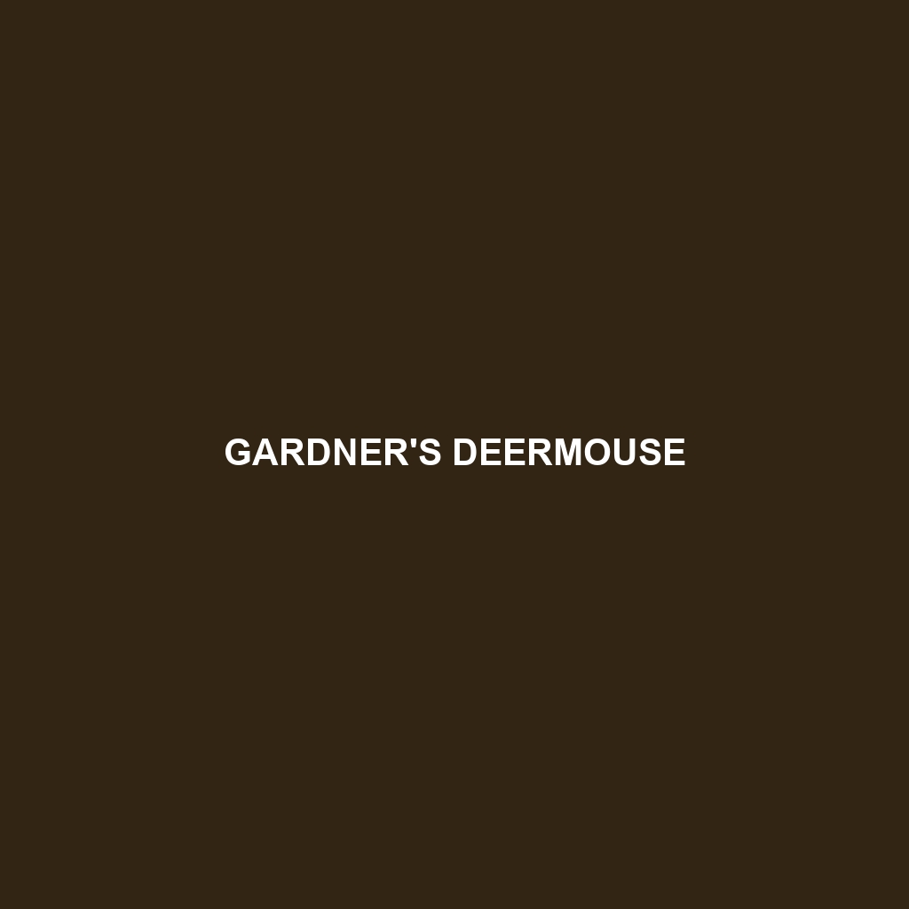 Gardner's Deermouse