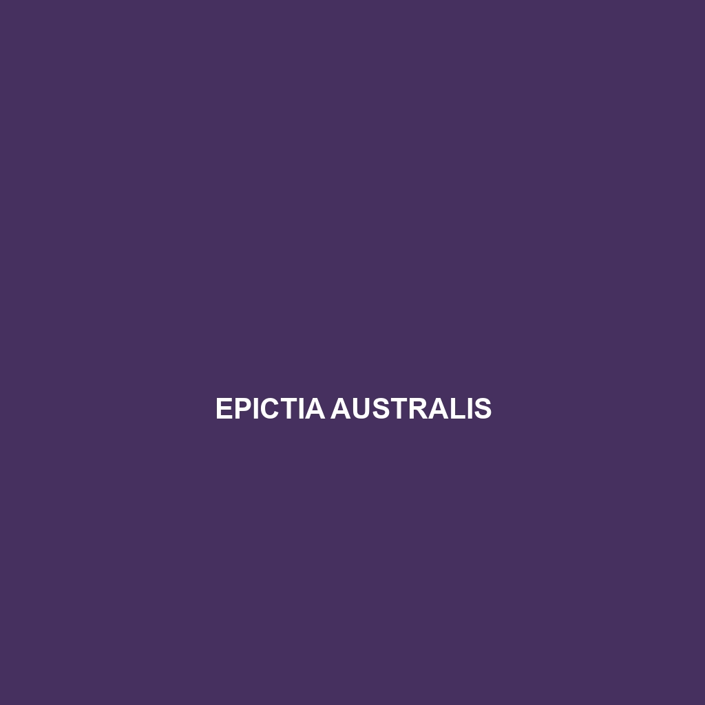 Epictia australis