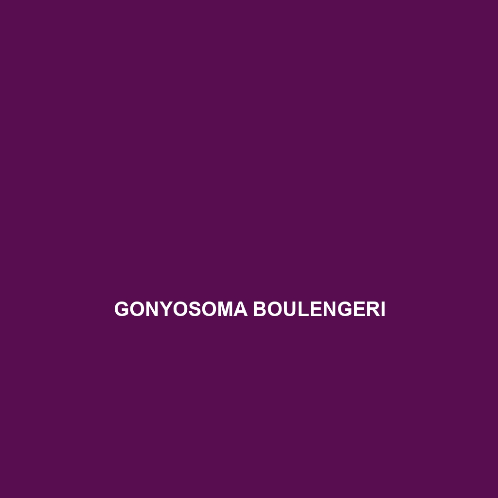 Gonyosoma boulengeri