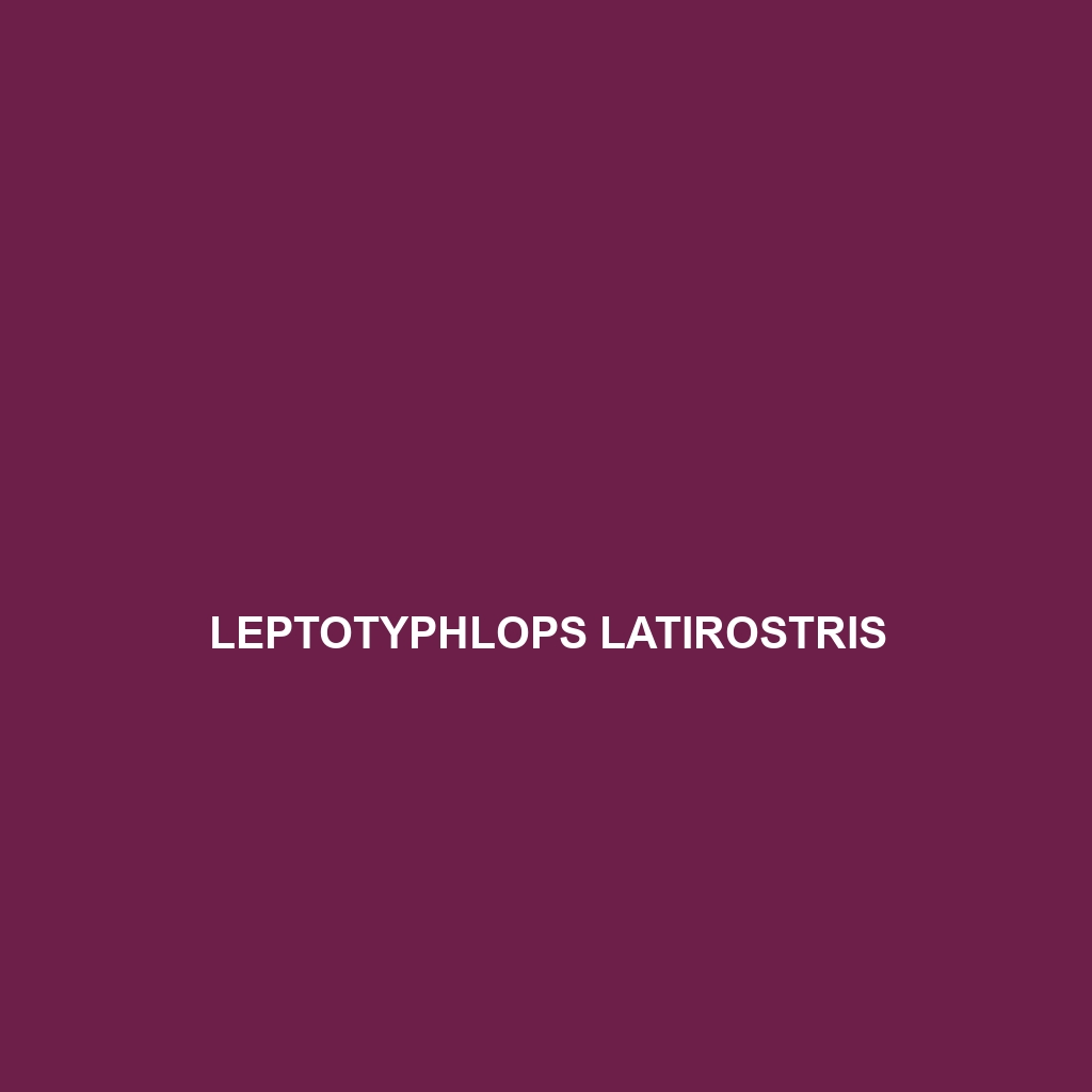 Leptotyphlops latirostris