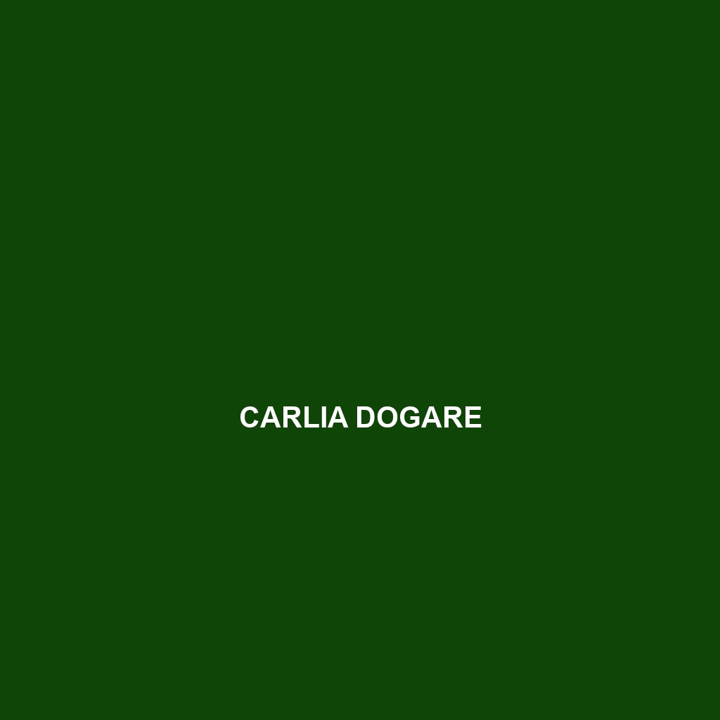 Carlia dogare