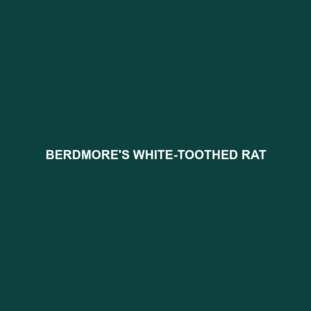 Berdmore's White-toothed Rat