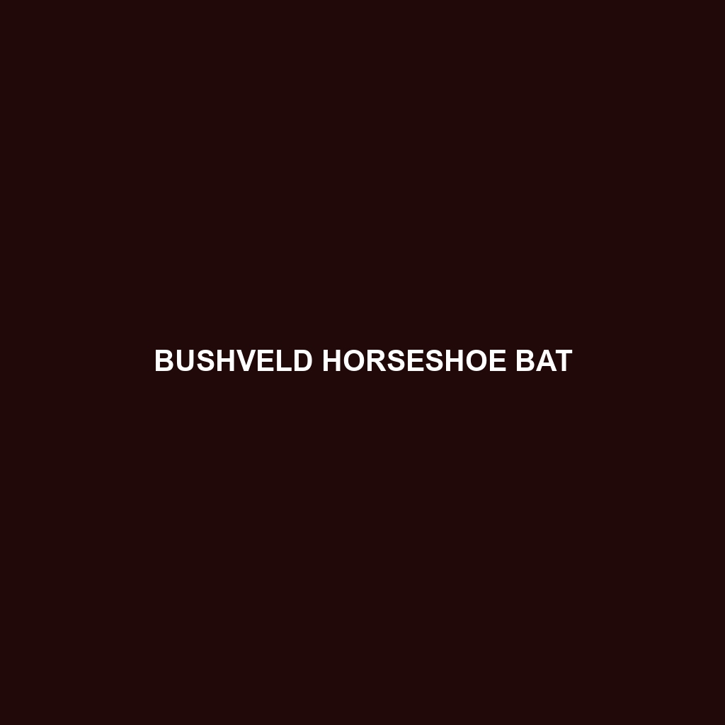 Bushveld Horseshoe Bat