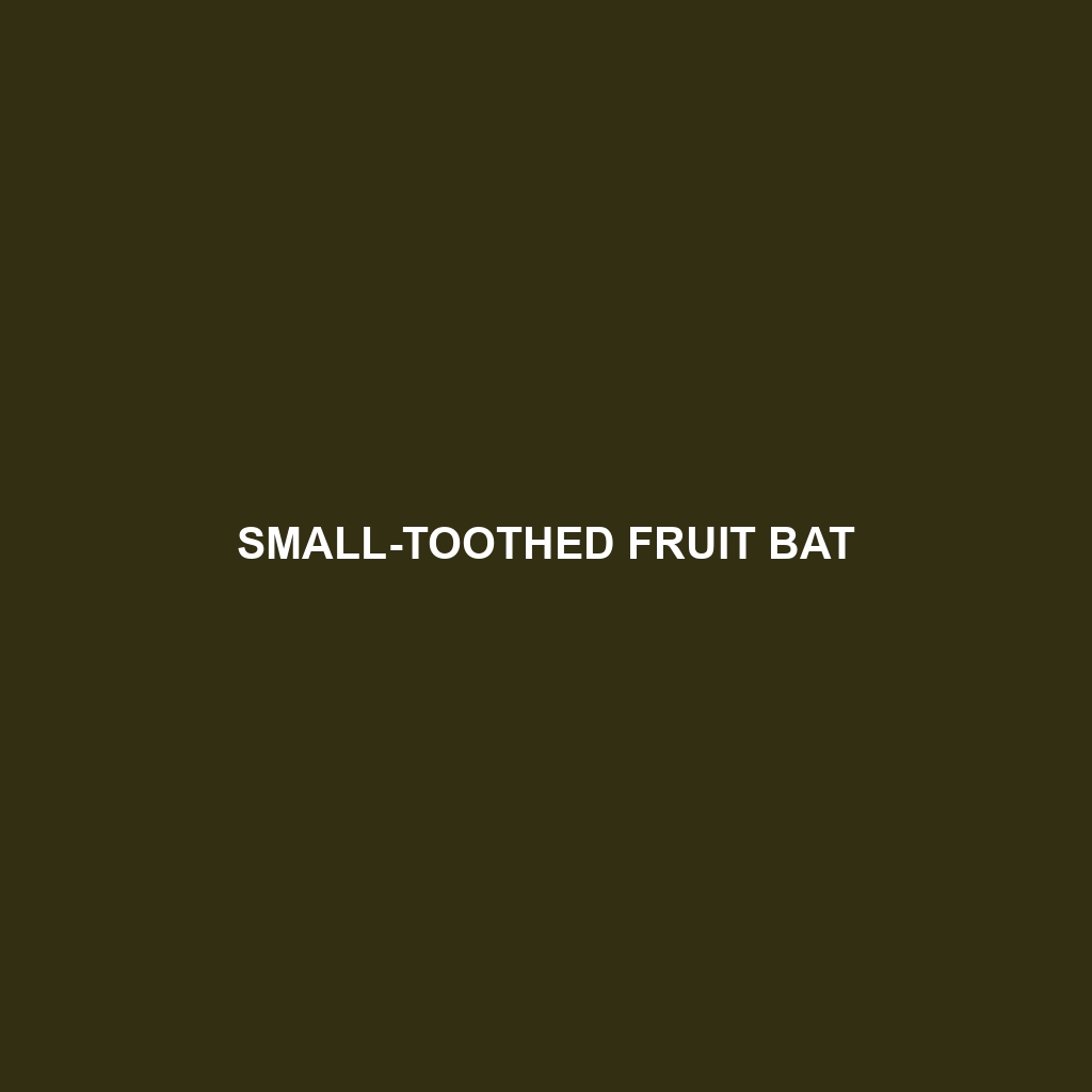 Small-toothed Fruit Bat