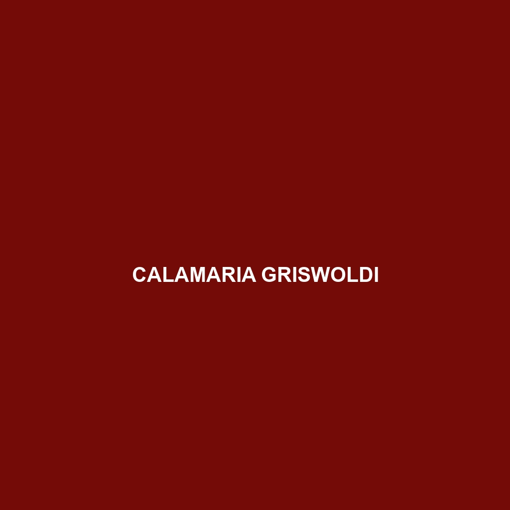 Calamaria griswoldi