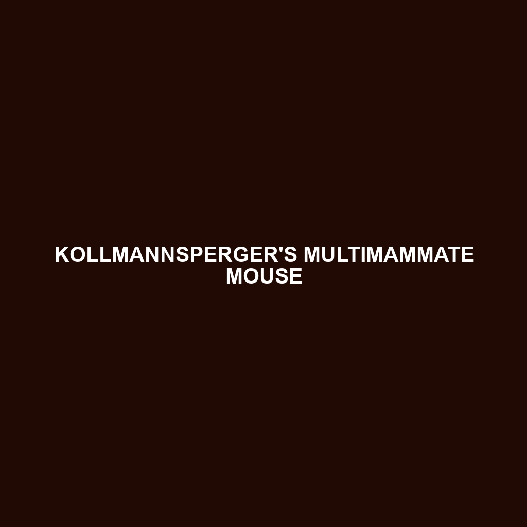 Kollmannsperger's Multimammate Mouse