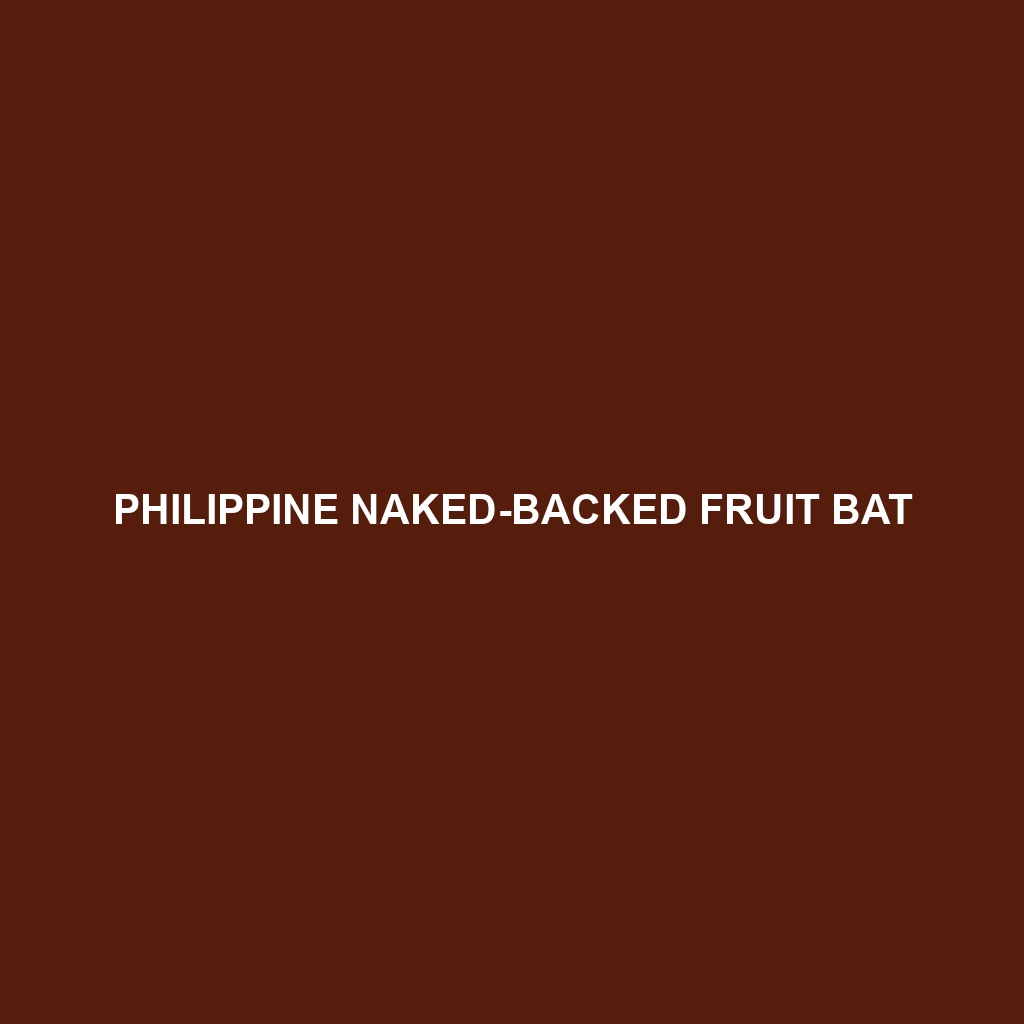 Philippine Naked-backed Fruit Bat