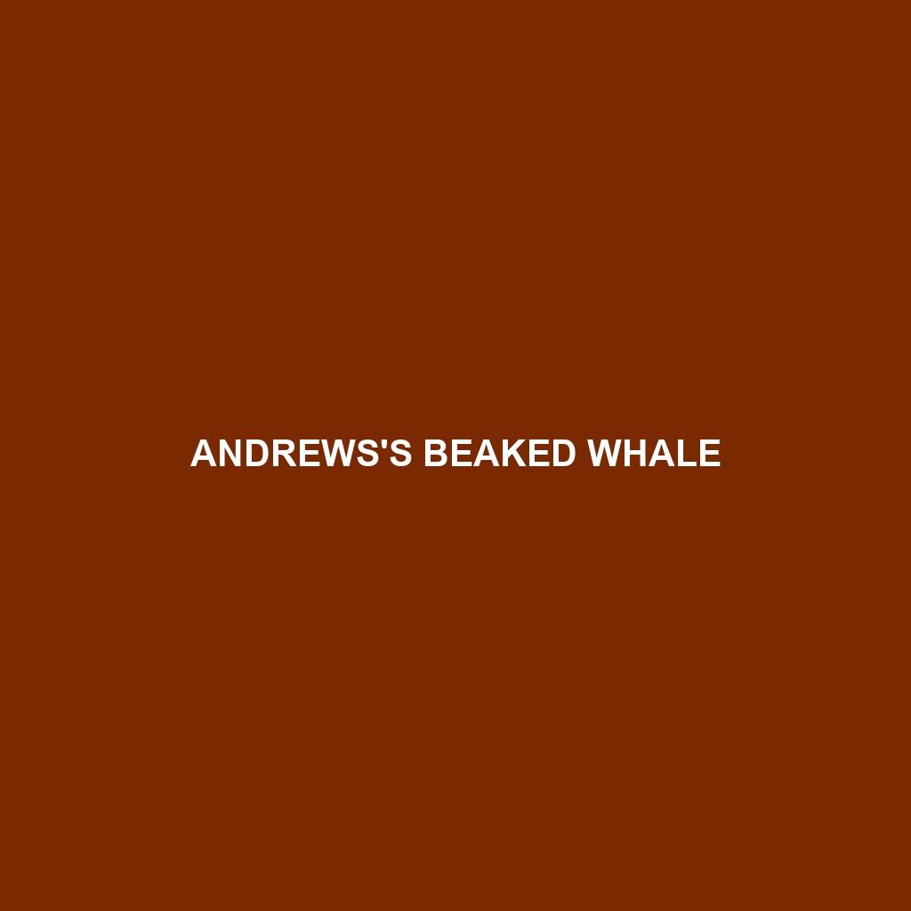 Andrews's Beaked Whale