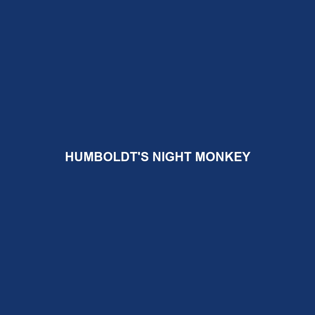 Humboldt's Night Monkey