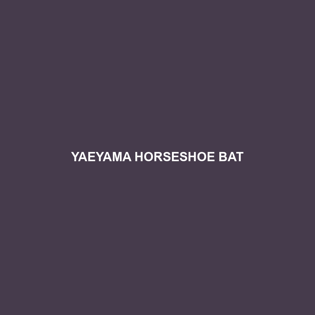 Yaeyama Horseshoe Bat