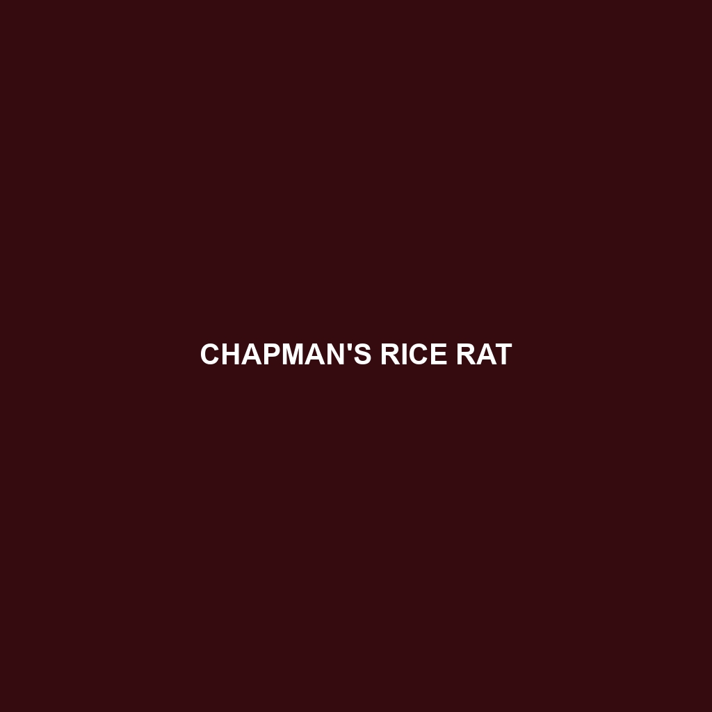 Chapman's Rice Rat