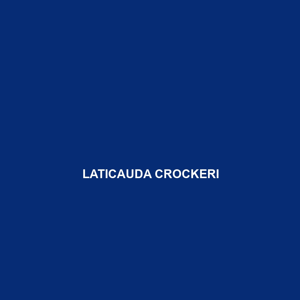 Laticauda crockeri