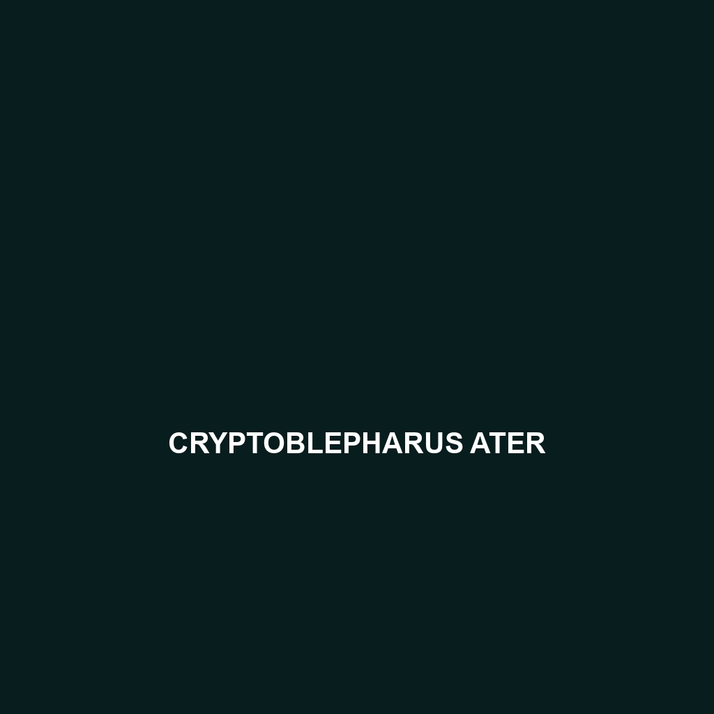 Cryptoblepharus ater