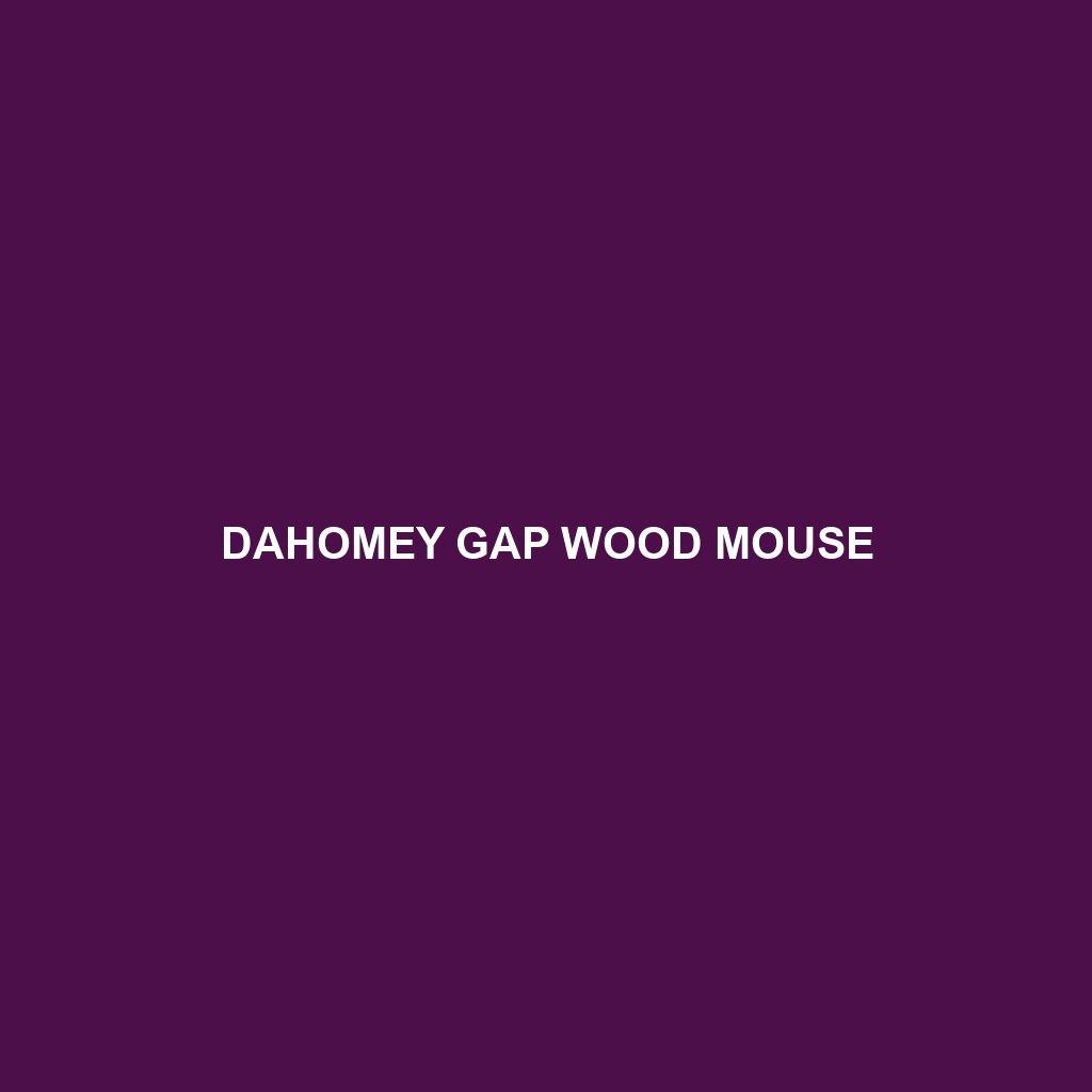 Dahomey Gap Wood Mouse