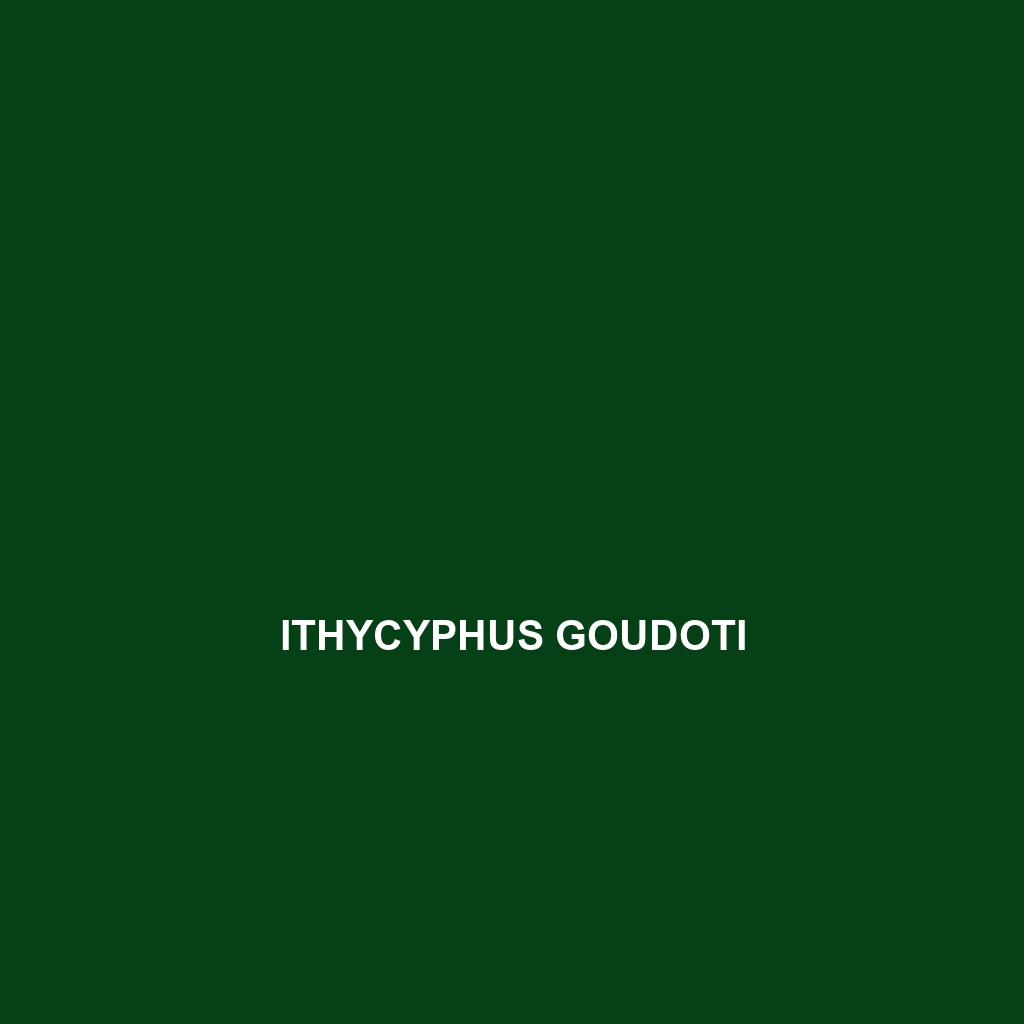 Ithycyphus goudoti