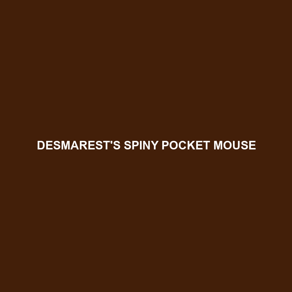 Desmarest's Spiny Pocket Mouse