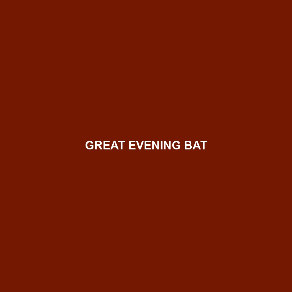 Great Evening Bat