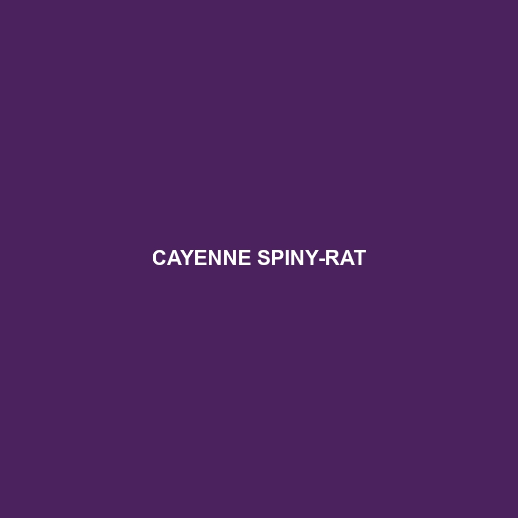 Cayenne Spiny-rat