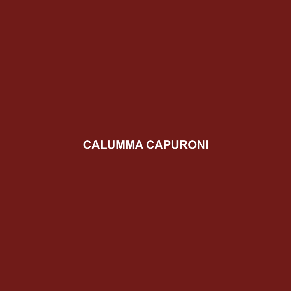 Calumma capuroni