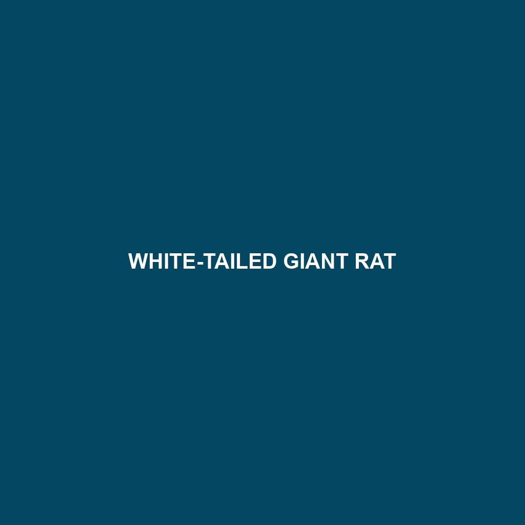 White-tailed Giant Rat