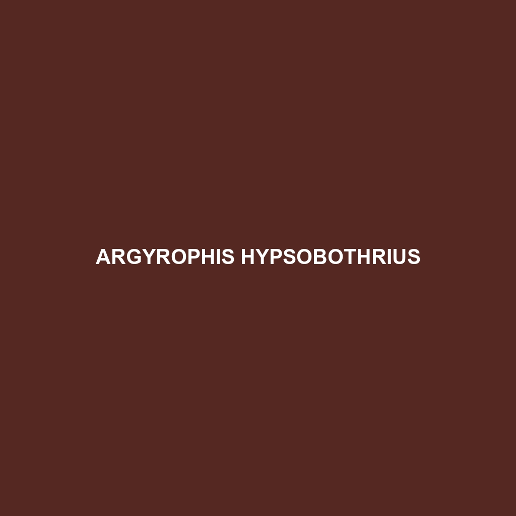 Argyrophis hypsobothrius