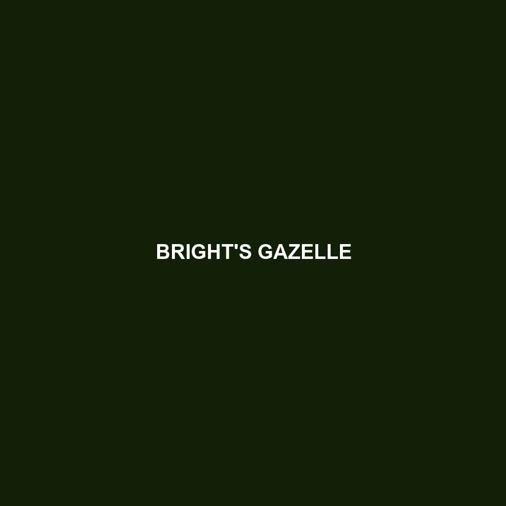 Bright's Gazelle