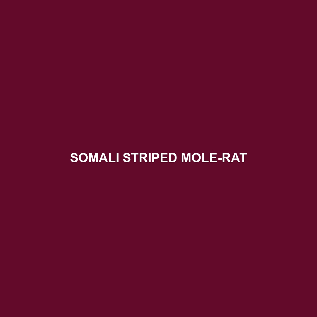 Somali Striped Mole-rat