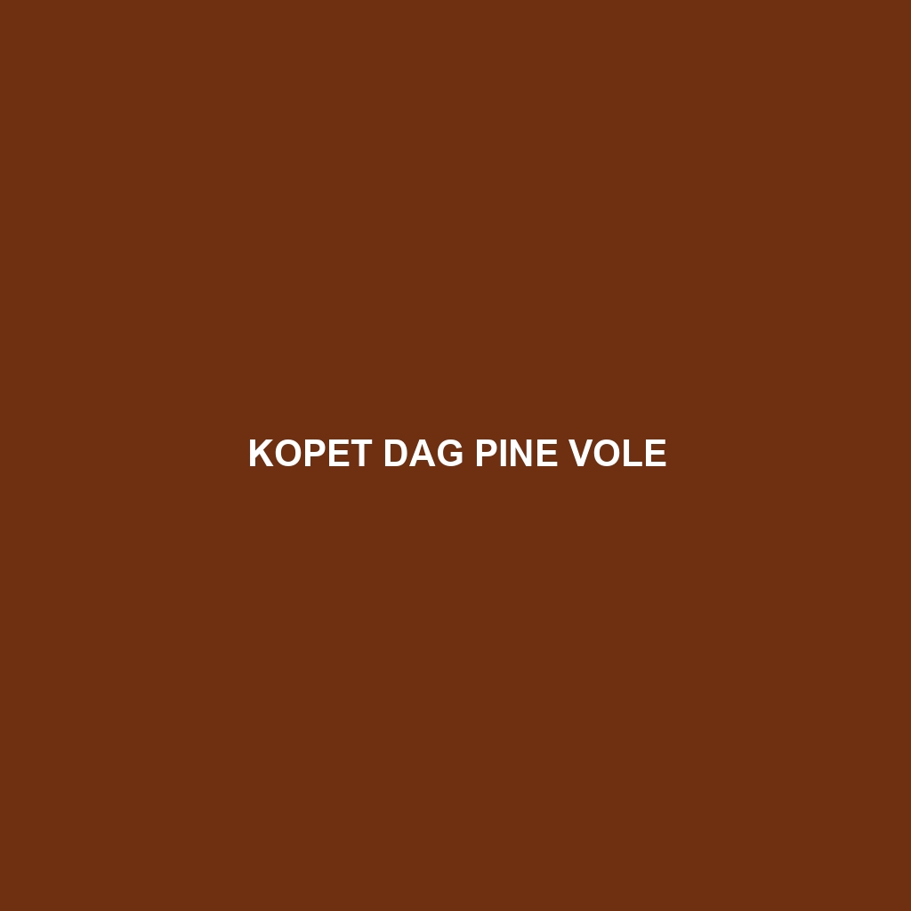 Kopet Dag Pine Vole