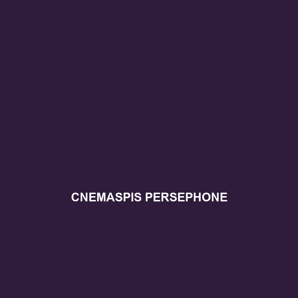 Cnemaspis persephone