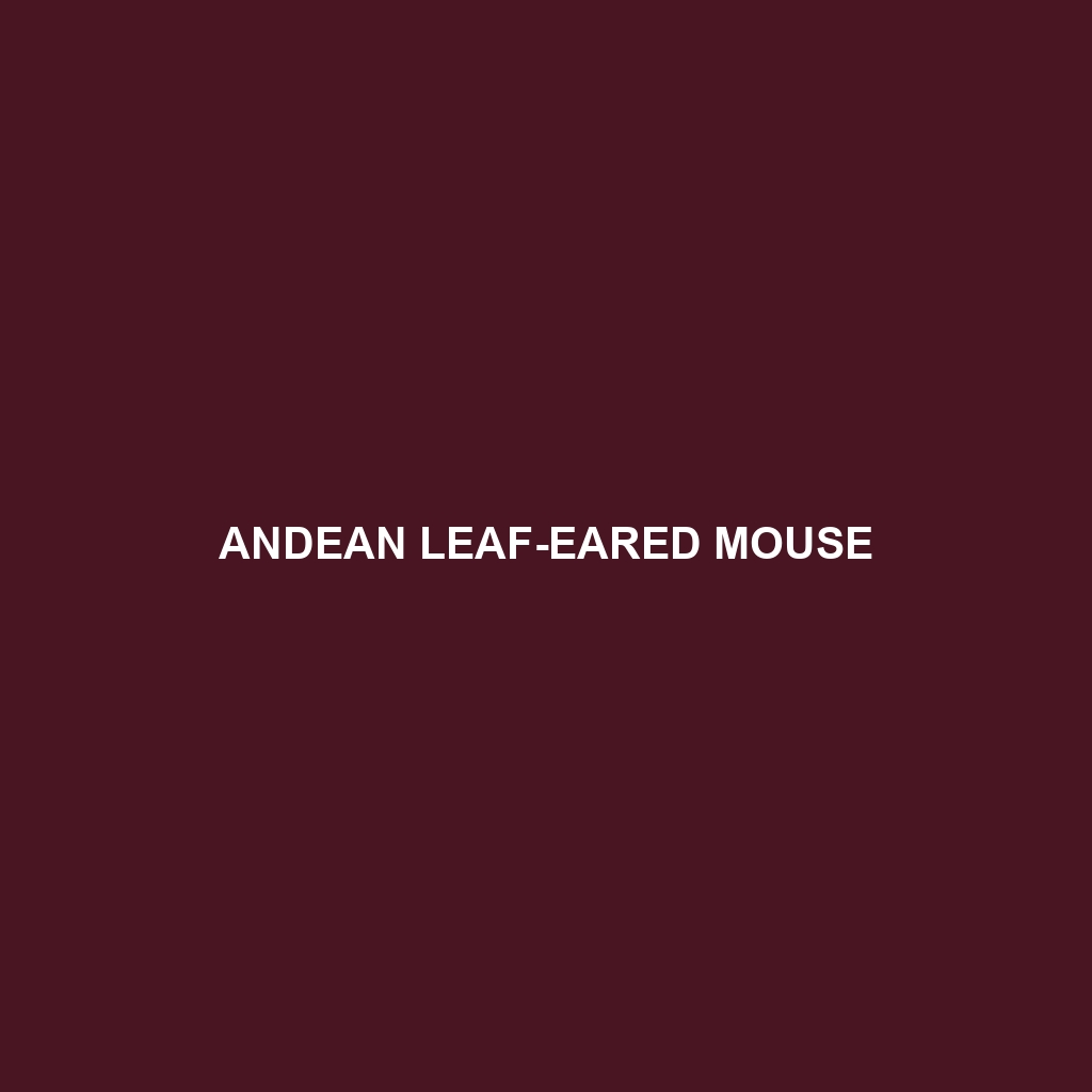 Andean Leaf-eared Mouse