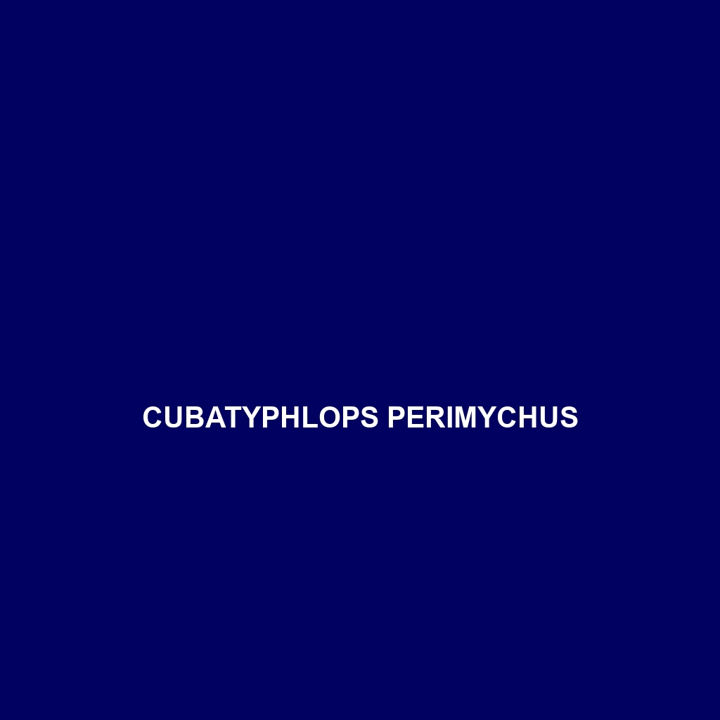 Cubatyphlops perimychus