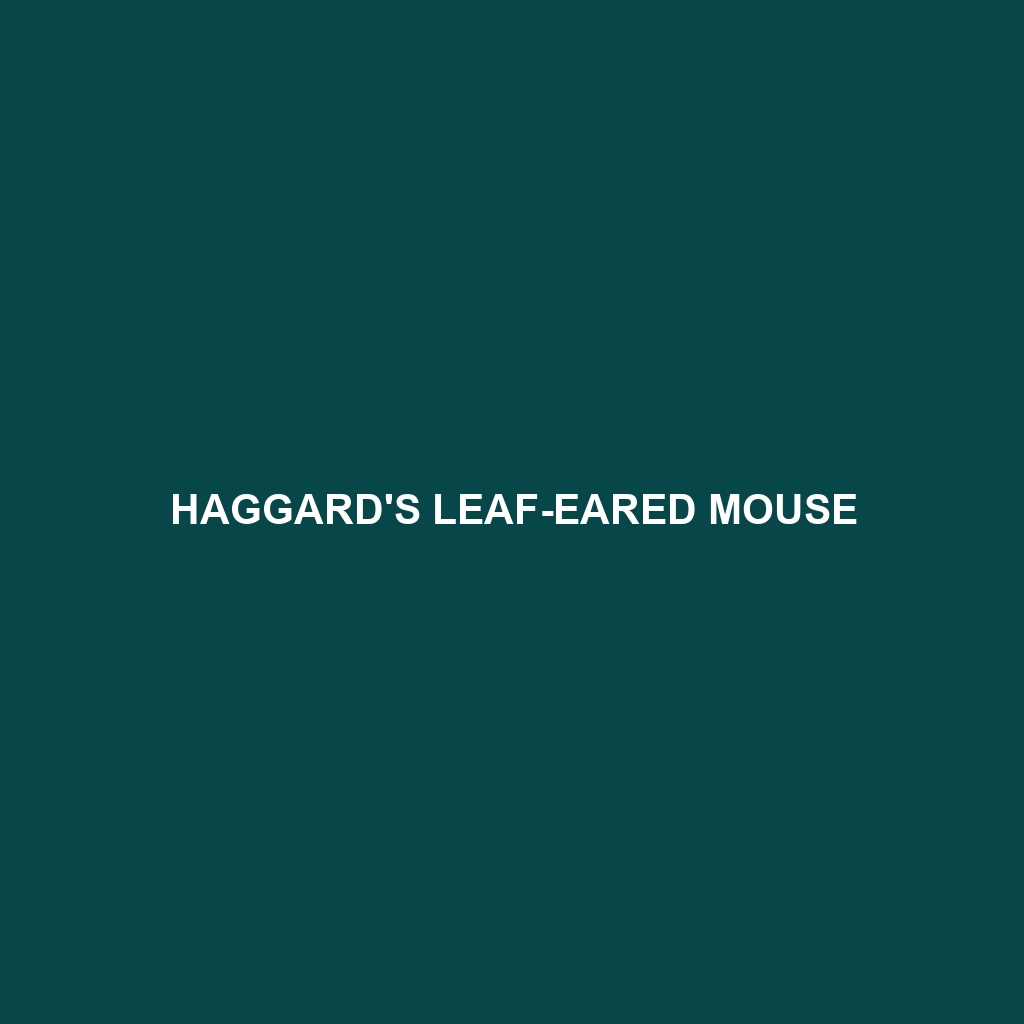 Haggard's Leaf-eared Mouse